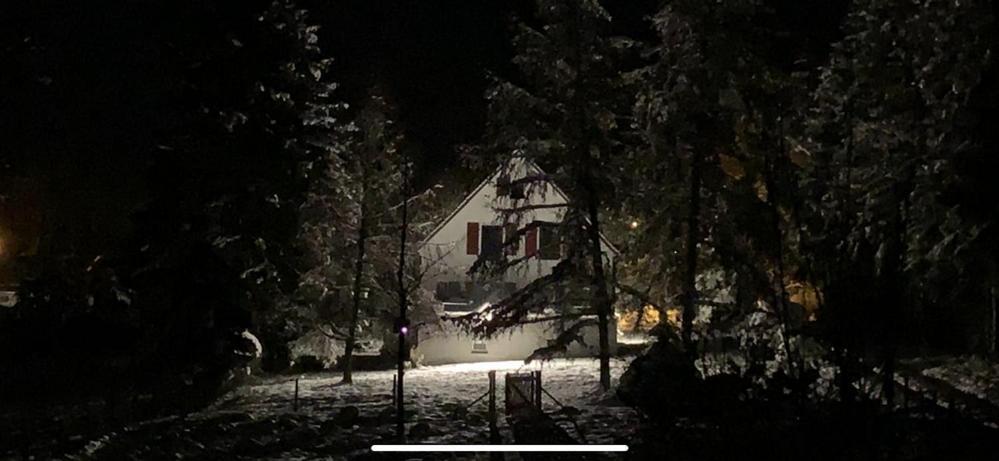 Landhaus Camillas Hoehe Mirbach Kültér fotó